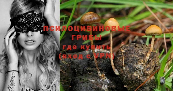 кокс Абдулино