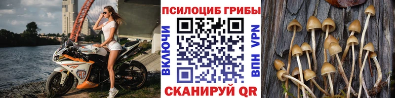 блэк спрут ТОР  Барнаул  Псилоцибиновые грибы MAGIC MUSHROOMS  где купить наркотик 