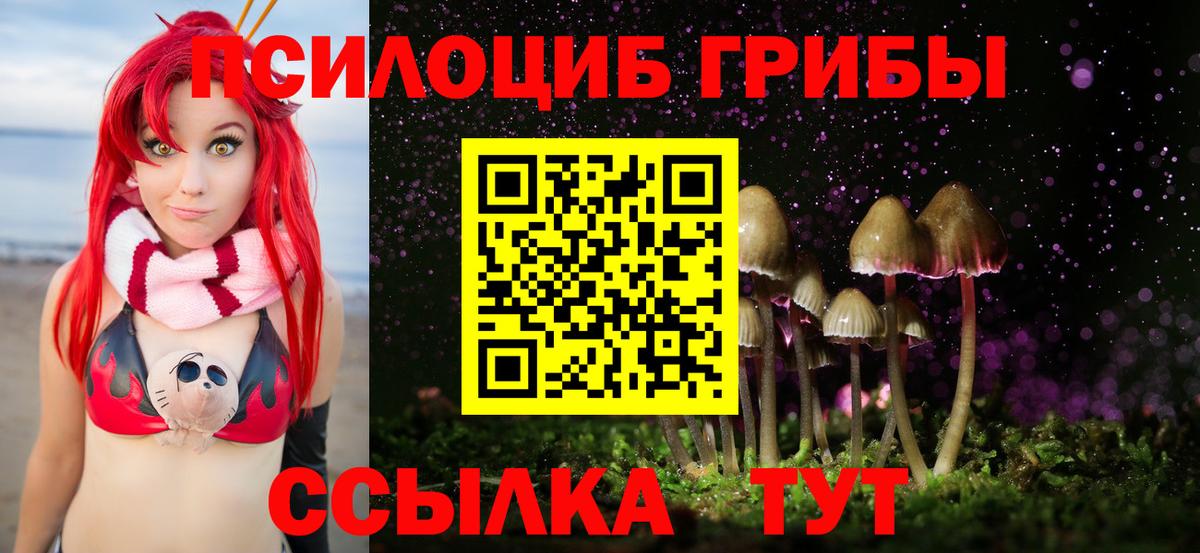 Псилоцибиновые грибы прущие грибы Барнаул