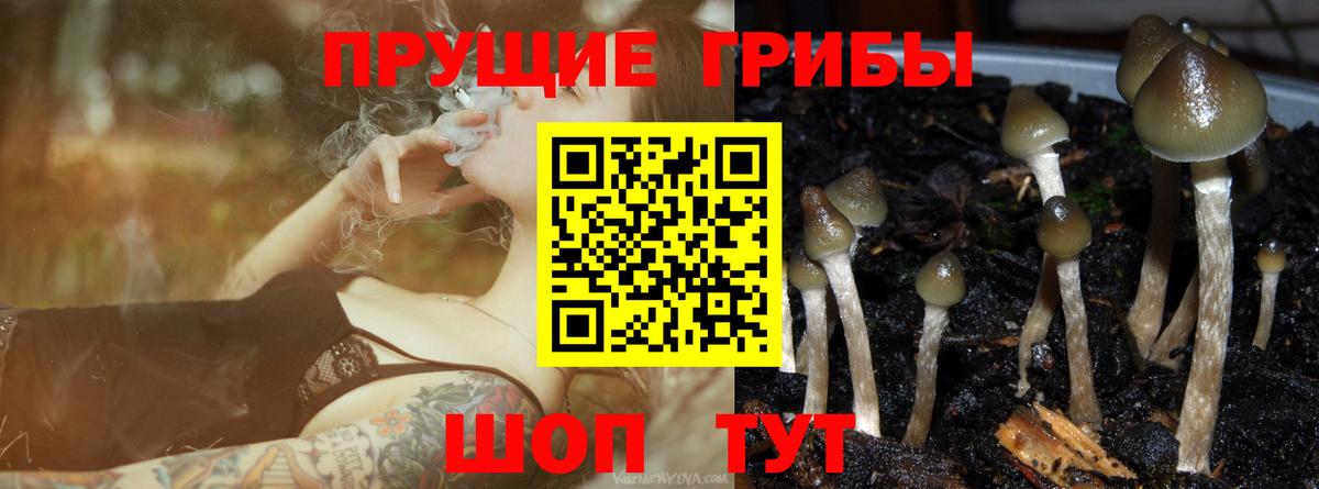 Барнаул  Псилоцибиновые грибы Magic Shrooms  Вход с VPN  Галлюциногенные грибы Cubensis 